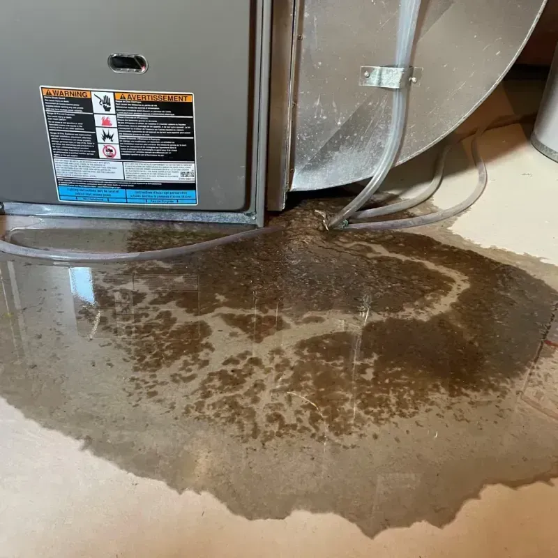 Appliance Leak Cleanup in Nashville, AR